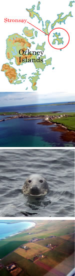 Stronsay, Orkney Islands